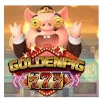 Golden Pig 777