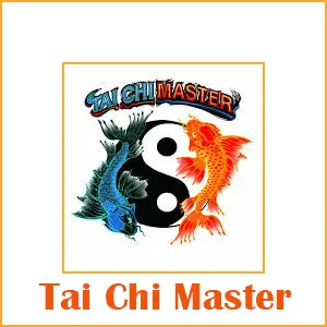 Tai Chi Master 777